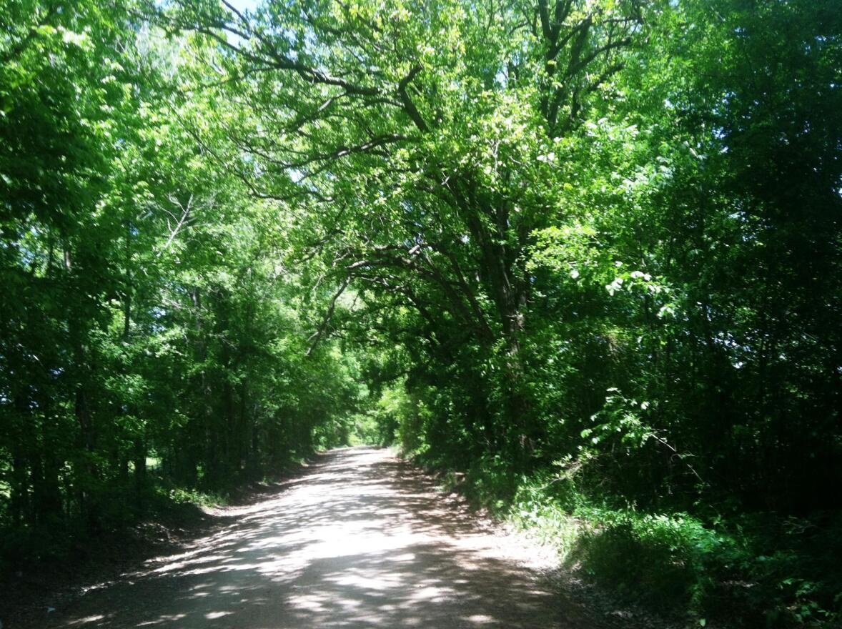 This county road would be covered by the Martin Lake Reservoir.